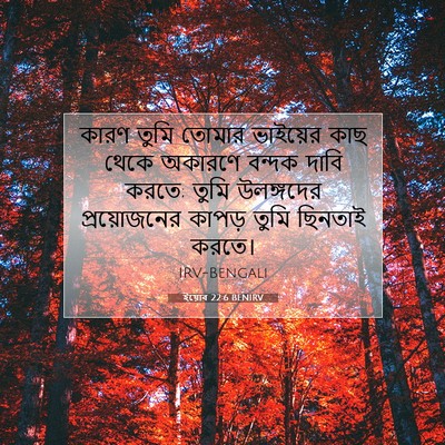 Picture 07 - ইয়োব 22:6 BENIRV - কারণ তুমি তোমার - Bible Verse Picture