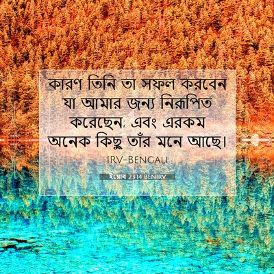 Picture 07 - ইয়োব 23:14 BENIRV - কারণ তিনি তা সফল - Bible Verse Picture