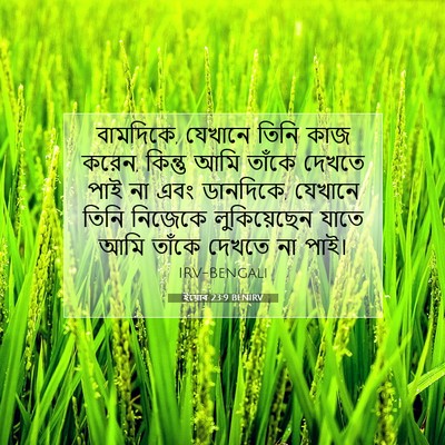 Picture 07 - ইয়োব 23:9 BENIRV - বামদিকে, যেখানে - Bible Verse Picture