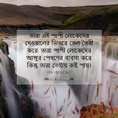 Picture 07 - ইয়োব 24:11 BENIRV - তারা এই পাপী - Bible Verse Picture