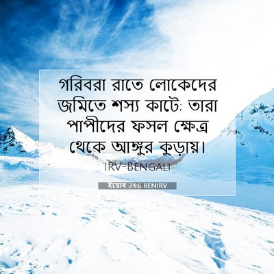 Picture 07 - ইয়োব 24:6 BENIRV - গরিবরা রাতে - Bible Verse Picture