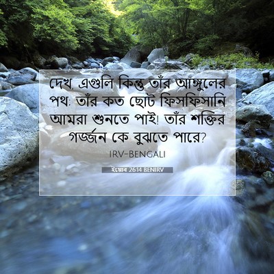 Picture 07 - ইয়োব 26:14 BENIRV - দেখ, এগুলি কিন্তু - Bible Verse Picture