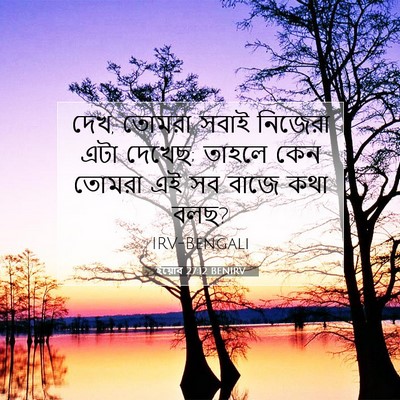 Picture 07 - ইয়োব 27:12 BENIRV - দেখ, তোমরা সবাই - Bible Verse Picture