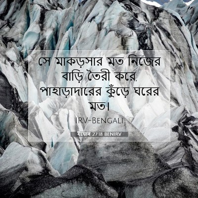 Picture 07 - ইয়োব 27:18 BENIRV - সে মাকড়সার মত - Bible Verse Picture