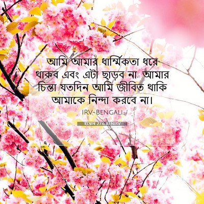Picture 07 - ইয়োব 27:6 BENIRV - আমি আমার - Bible Verse Picture