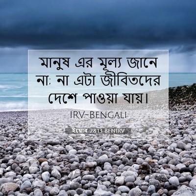 Picture 07 - ইয়োব 28:13 BENIRV - মানুষ এর মূল্য - Bible Verse Picture