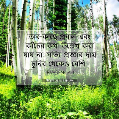 Picture 07 - ইয়োব 28:18 BENIRV - তার কাছে প্রবাল - Bible Verse Picture