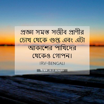 Picture 07 - ইয়োব 28:21 BENIRV - প্রজ্ঞা সমস্ত - Bible Verse Picture