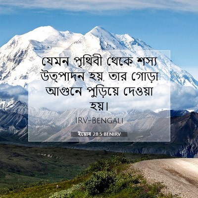 Picture 07 - ইয়োব 28:5 BENIRV - যেমন পৃথিবী থেকে - Bible Verse Picture