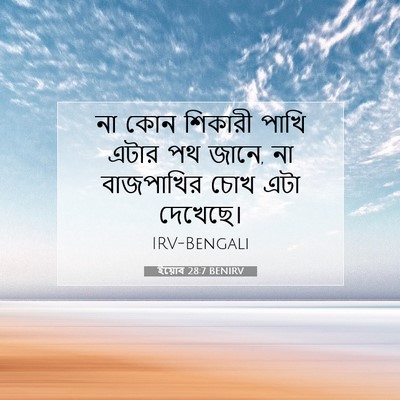 Picture 07 - ইয়োব 28:7 BENIRV - না কোন শিকারী পাখি - Bible Verse Picture