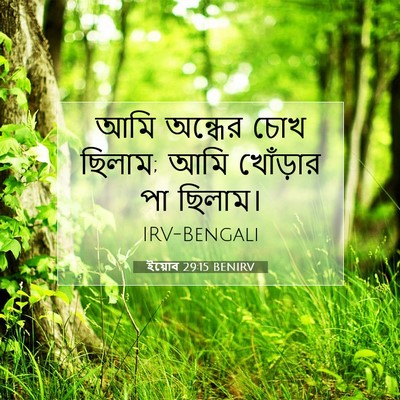 Picture 07 - ইয়োব 29:15 BENIRV - আমি অন্ধের চোখ - Bible Verse Picture