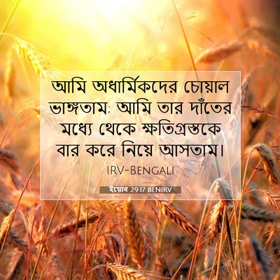 Picture 07 - ইয়োব 29:17 BENIRV - আমি অধার্মিকদের - Bible Verse Picture