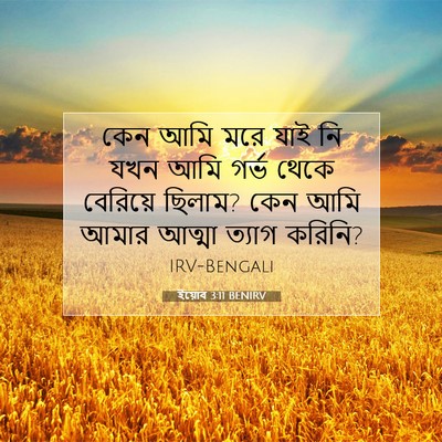 Picture 07 - ইয়োব 3:11 BENIRV - কেন আমি মরে যাই নি - Bible Verse Picture