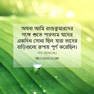Picture 07 - ইয়োব 3:15 BENIRV - অথবা আমি - Bible Verse Picture