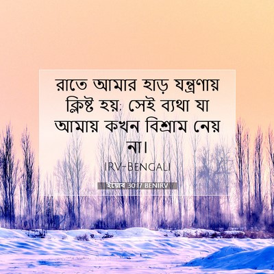 Picture 07 - ইয়োব 30:17 BENIRV - রাতে আমার হাড় - Bible Verse Picture