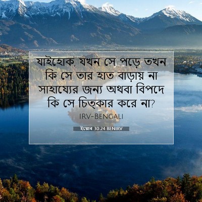 Picture 07 - ইয়োব 30:24 BENIRV - যাইহোক, যখন সে পড়ে - Bible Verse Picture