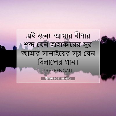 Picture 07 - ইয়োব 30:31 BENIRV - এই জন্য, আমার বীণার - Bible Verse Picture