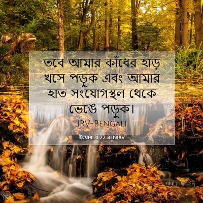 Picture 07 - ইয়োব 31:22 BENIRV - তবে আমার কাঁধের - Bible Verse Picture