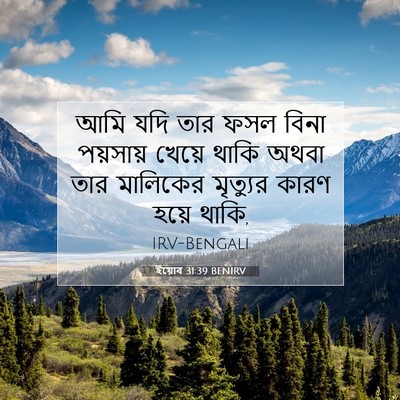 Picture 07 - ইয়োব 31:39 BENIRV - আমি যদি তার ফসল - Bible Verse Picture