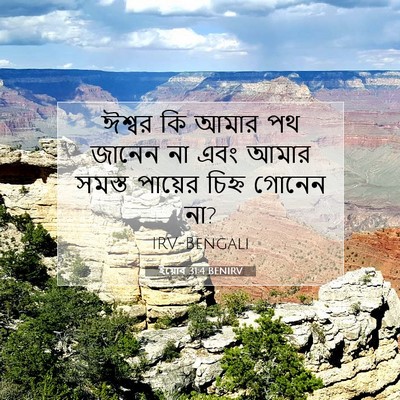 Picture 07 - ইয়োব 31:4 BENIRV - ঈশ্বর কি আমার পথ - Bible Verse Picture