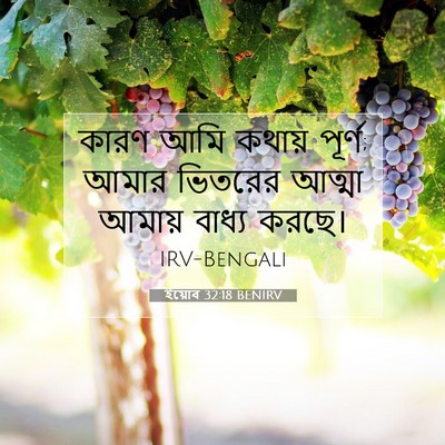 Picture 07 - ইয়োব 32:18 BENIRV - কারণ আমি কথায় - Bible Verse Picture