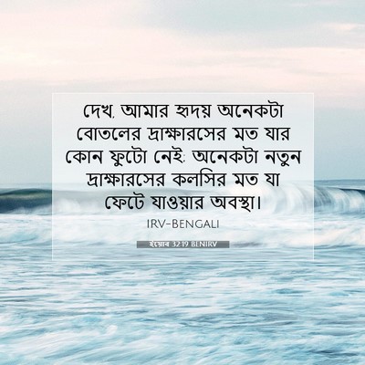 Picture 07 - ইয়োব 32:19 BENIRV - দেখ, আমার হৃদয় - Bible Verse Picture