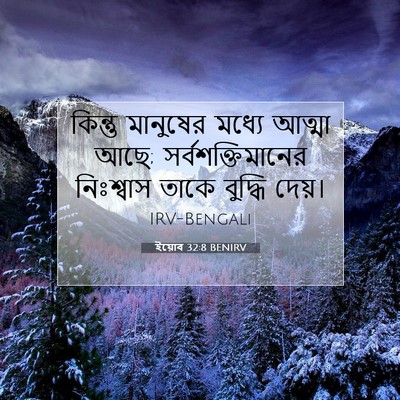 Picture 07 - ইয়োব 32:8 BENIRV - কিন্তু মানুষের - Bible Verse Picture