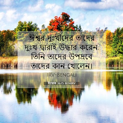 Picture 07 - ইয়োব 36:15 BENIRV - ঈশ্বর দুঃখীদের - Bible Verse Picture