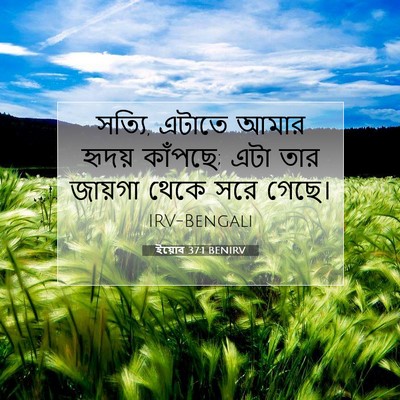 Picture 07 - ইয়োব 37:1 BENIRV - সত্যি, এটাতে আমার - Bible Verse Picture
