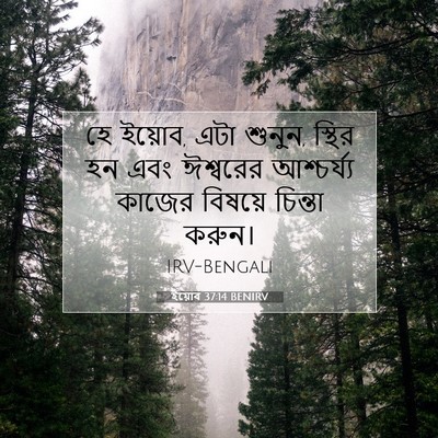 Picture 07 - ইয়োব 37:14 BENIRV - হে ইয়োব, এটা - Bible Verse Picture