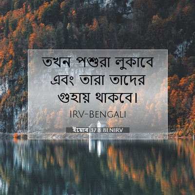 Picture 07 - ইয়োব 37:8 BENIRV - তখন পশুরা লুকাবে - Bible Verse Picture