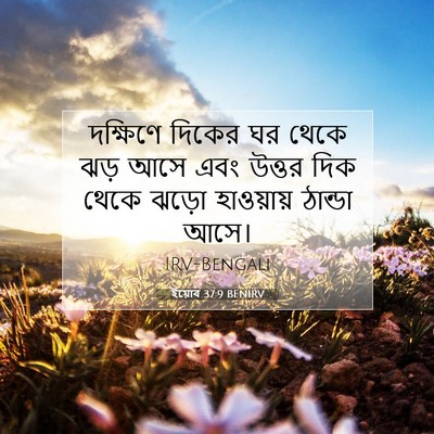 Picture 07 - ইয়োব 37:9 BENIRV - দক্ষিণে দিকের ঘর - Bible Verse Picture