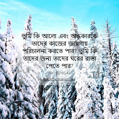 Picture 07 - ইয়োব 38:20 BENIRV - তুমি কি আলো এবং - Bible Verse Picture