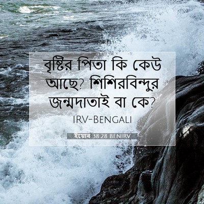 Picture 07 - ইয়োব 38:28 BENIRV - বৃষ্টির পিতা কি - Bible Verse Picture