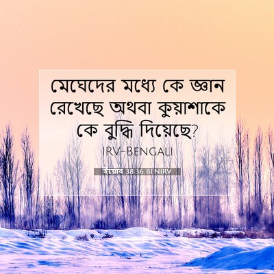 Picture 07 - ইয়োব 38:36 BENIRV - মেঘেদের মধ্যে কে - Bible Verse Picture