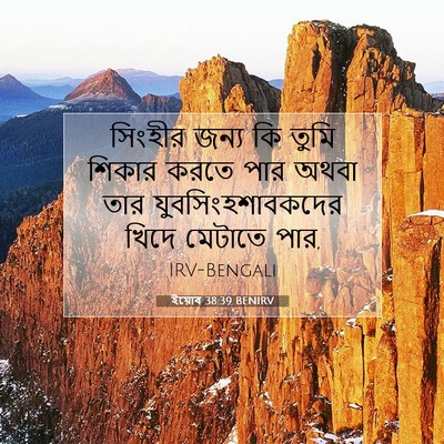 Picture 07 - ইয়োব 38:39 BENIRV - সিংহীর জন্য কি - Bible Verse Picture