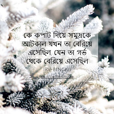 Picture 07 - ইয়োব 38:8 BENIRV - কে কপাট দিয়ে - Bible Verse Picture