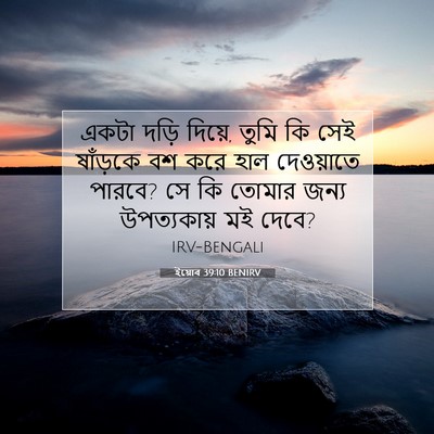 Picture 07 - ইয়োব 39:10 BENIRV - একটা দড়ি দিয়ে, - Bible Verse Picture