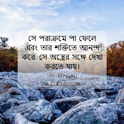 Picture 07 - ইয়োব 39:21 BENIRV - সে পরাক্রমে পা - Bible Verse Picture
