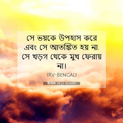 Picture 07 - ইয়োব 39:22 BENIRV - সে ভয়কে উপহাস করে - Bible Verse Picture