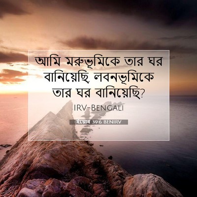 Picture 07 - ইয়োব 39:6 BENIRV - আমি মরুভূমিকে তার - Bible Verse Picture