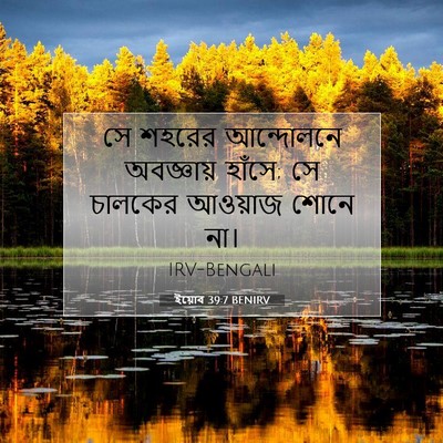 Picture 07 - ইয়োব 39:7 BENIRV - সে শহরের আন্দোলনে - Bible Verse Picture