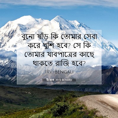 Picture 07 - ইয়োব 39:9 BENIRV - বুনো ষাঁড় কি - Bible Verse Picture