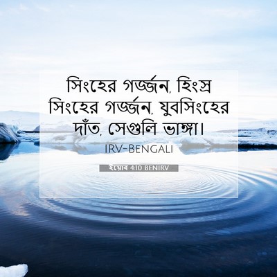 Picture 07 - ইয়োব 4:10 BENIRV - সিংহের গর্জ্জন, - Bible Verse Picture