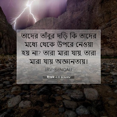 Picture 07 - ইয়োব 4:21 BENIRV - তাদের তাঁবুর দড়ি - Bible Verse Picture