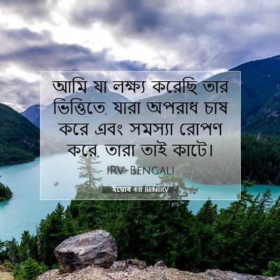 Picture 07 - ইয়োব 4:8 BENIRV - আমি যা লক্ষ্য - Bible Verse Picture