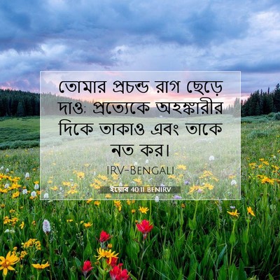 Picture 07 - ইয়োব 40:11 BENIRV - তোমার প্রচন্ড রাগ - Bible Verse Picture