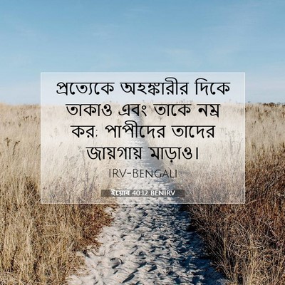 Picture 07 - ইয়োব 40:12 BENIRV - প্রত্যেকে - Bible Verse Picture
