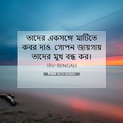 Picture 07 - ইয়োব 40:13 BENIRV - তাদের একসঙ্গে - Bible Verse Picture