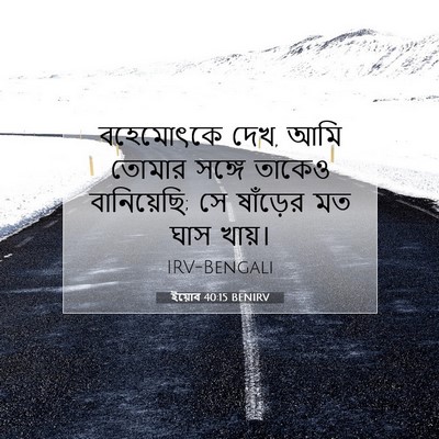 Picture 07 - ইয়োব 40:15 BENIRV - বহেমোৎকে দেখ, আমি - Bible Verse Picture